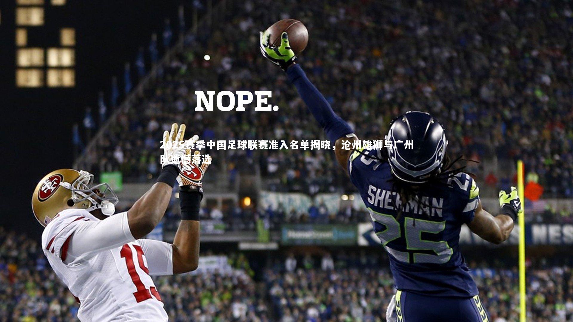 2025赛季中国足球联赛准入名单揭晓，沧州雄狮与广州队遗憾落选